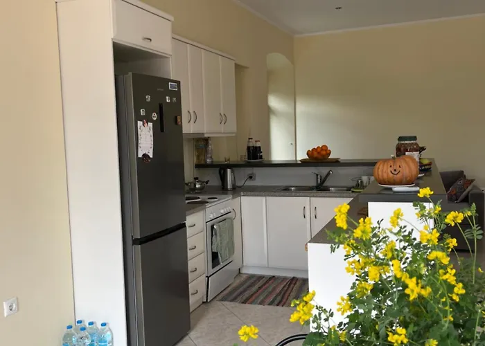 Sunshine 2 * Leonídion